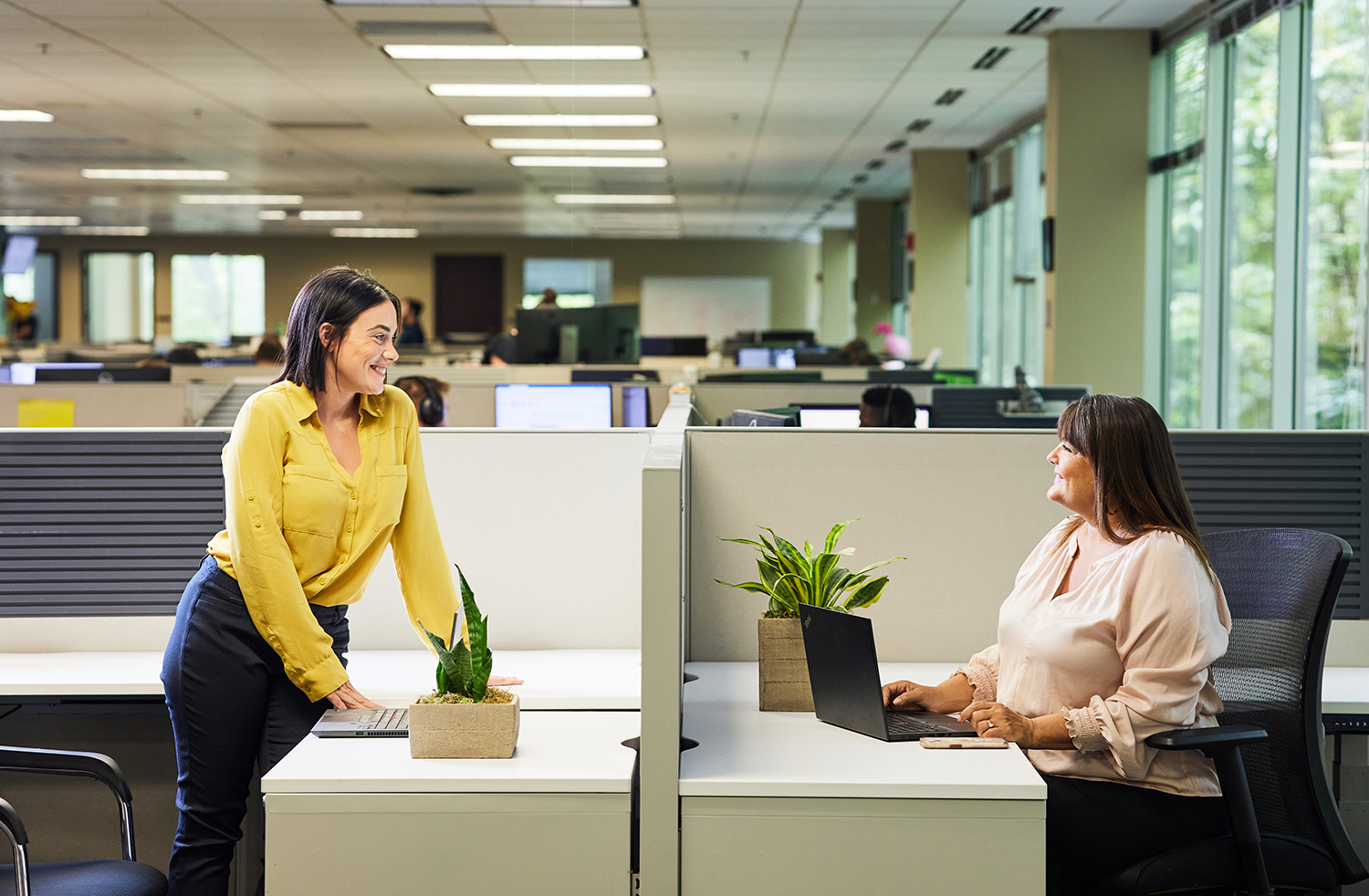 Two women in a modern office setting are facing each other. One stands beside a desk while the other sits, both smiling. Each desk has a laptop and a small plant. Large windows in the background let in natural light.